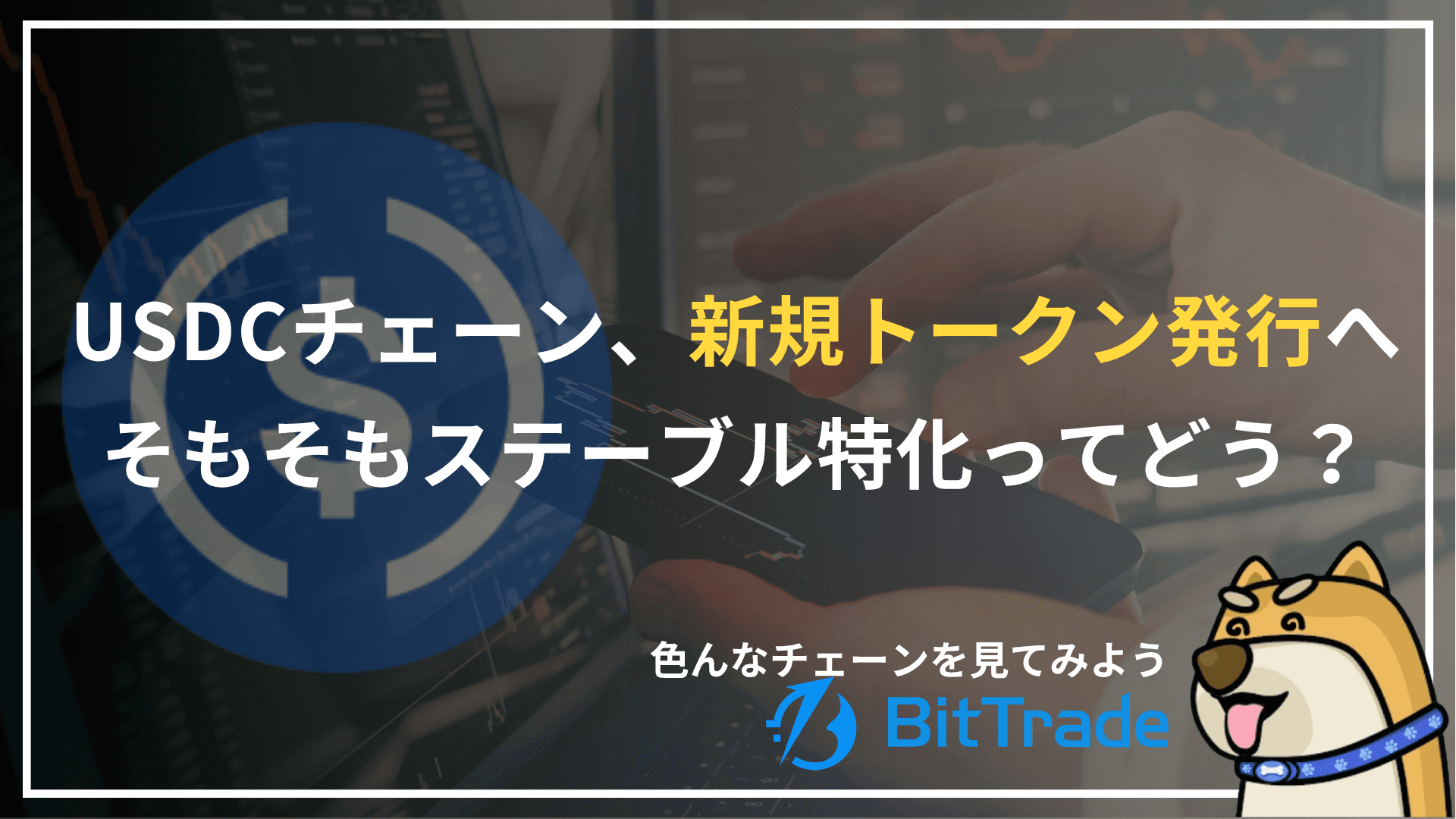 Considering issuing a new token on a USDC-focused chain? What exactly is a stablecoin-focused chain? |BitTrade Market Report